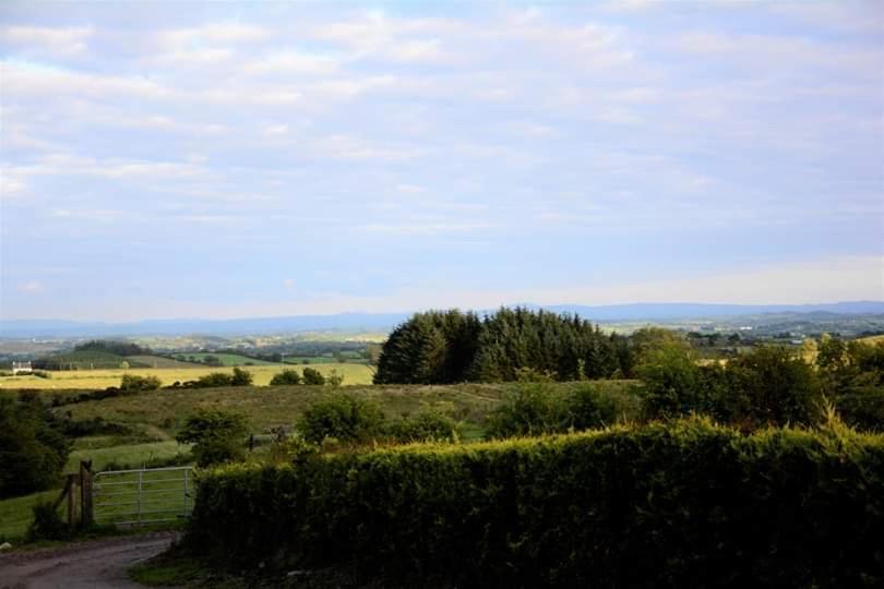 Crockgarve B&B Galbally Exteriör bild